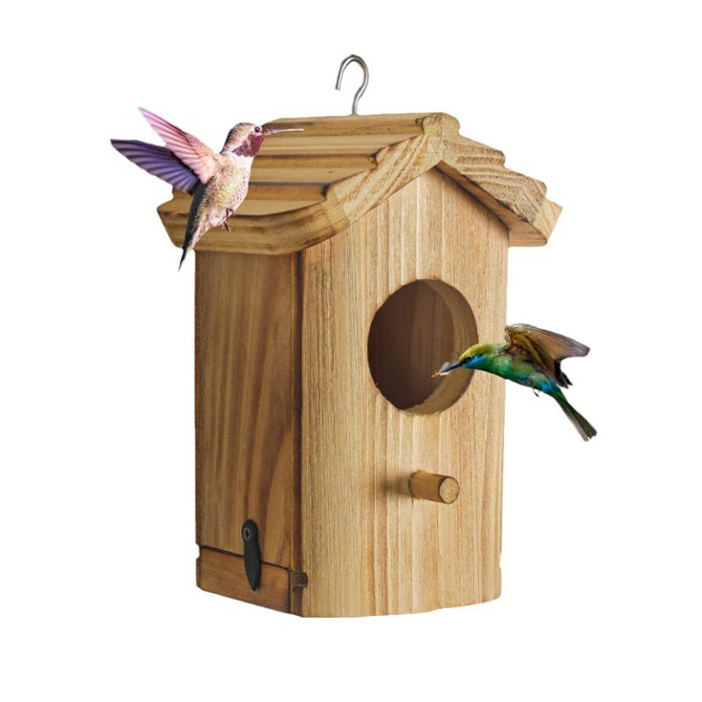 Bird House (2)