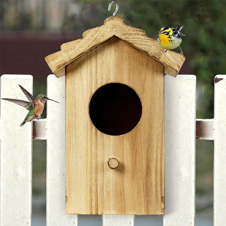 Bird House (4)