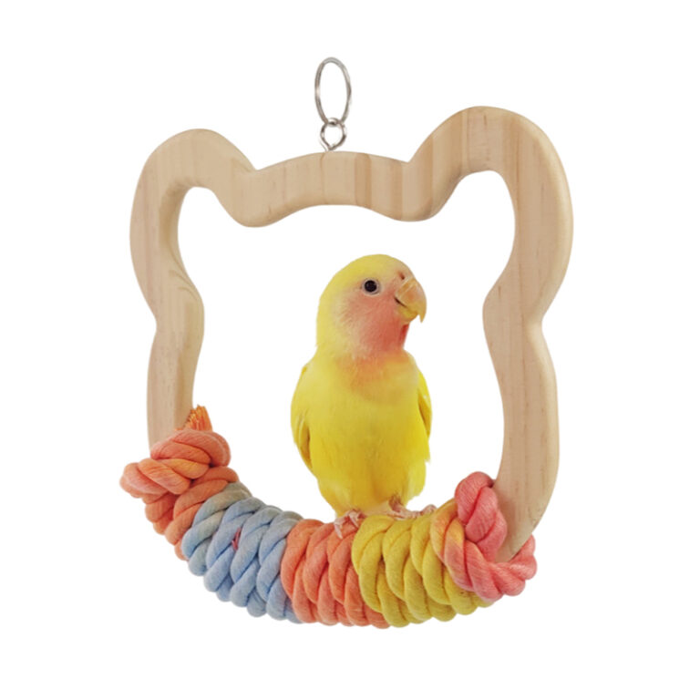 Bird Toy (5)