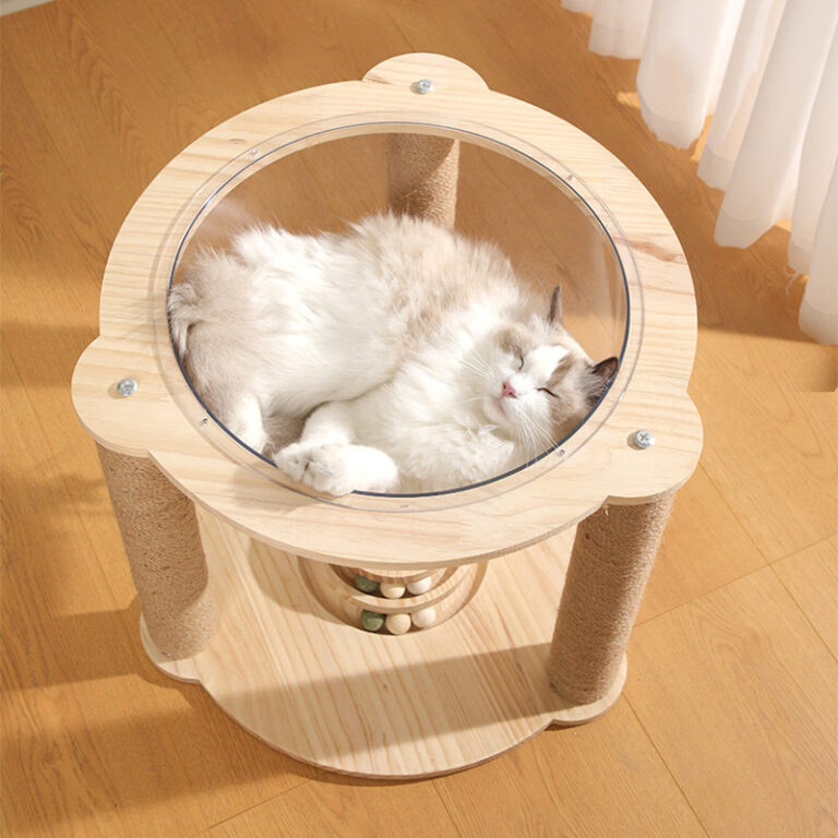 cat bed (3)